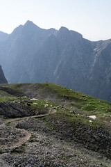 hiking path with sheep in the Alps