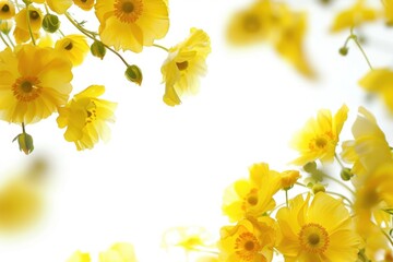 A white background with yellow flowers at the top and bottom large area of blank space is in the middle, with a yellow color scheme Generative AI