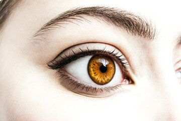 Fototapeta premium Close Up of a Brown Eye