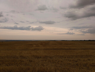 Cloudy Field Landscape in the Evening