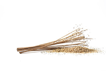 Dried Flower Stalks and Seeds on White Background