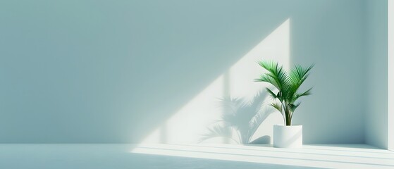 A potted plant sits on a windowsill, sunlight streaming through the window.