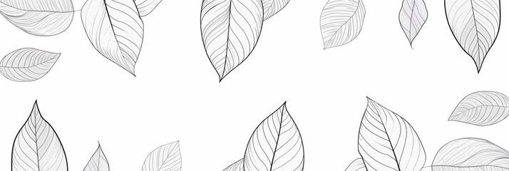 Minimalistic monochrome black and white leaves outline, abstract background