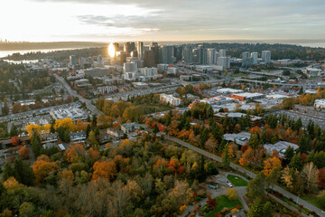 Bellevue Washington in the fall