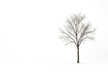 Fototapeta premium Single Tree in Winter Landscape