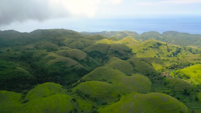 Aerial, Teletubbies Hills of Nusa Penida Island Used by Locals as Farming Terraces. Abundant farmland rolling hills and a tourist Attraction in Bali - Indonesia