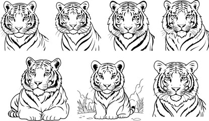Tiger face coloring page and outline vector design