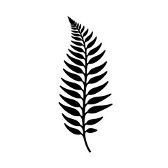 Fern Leaf Vector