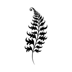 Fern Leaf Vector