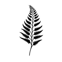 Fern Leaf Vector