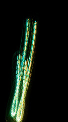 Futuristic Story Overlay Background Neon Glow Sci-Fi Hochformat