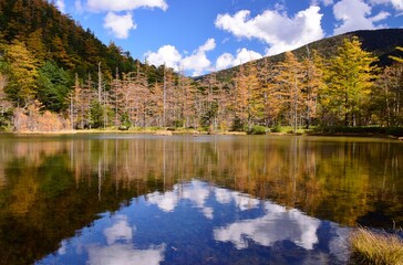 紅葉の上高地・明神池