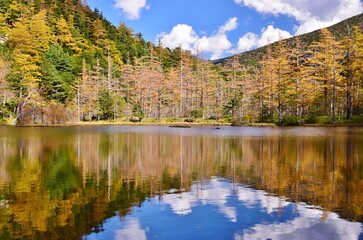 紅葉の上高地・明神池