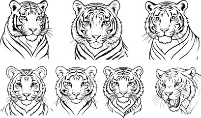 Tiger face coloring page and outline vector design