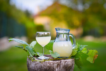 Traditional Czech low alcohol new white wine Burcak, or Neuer Wein, Vin bourru in wineglasses, Czech Republic, Europe.