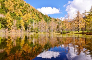 紅葉の上高地・明神池