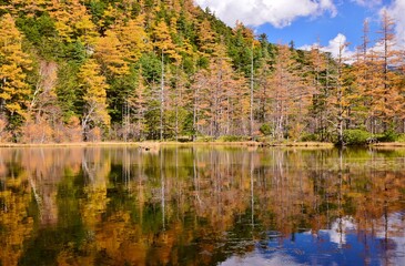 紅葉の上高地・明神池