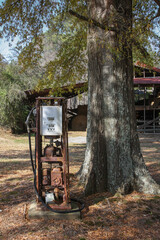 Antique gas pump outside under oak tree