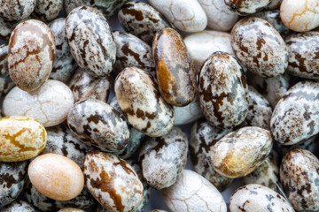 Numerous dried or dehydrated chia seeds spread evenly