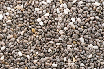 Numerous dried or dehydrated chia seeds spread evenly