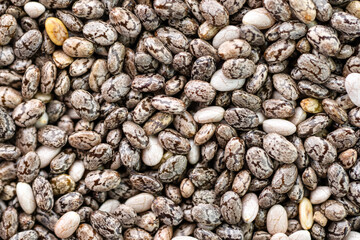 Numerous dried or dehydrated chia seeds spread evenly