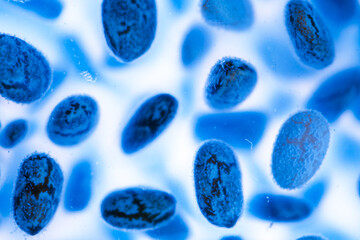 Numerous chia seeds hydrated in a liquid blue environment scattered in a disorganized way. abstract background.