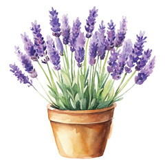 Fototapeta premium Watercolor Lavender Bouquet Clipart