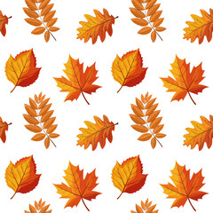 Obraz premium Seamless pattern of colorful autumn leaves. Autumn falling leaves background. Illustration, print, textile