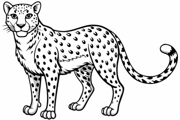 Funny Cheetah Vector Illustration, Cartoon Clipart, and Line Art Design on White Background, Funny cheetah vector illustration, cartoon clipart, and line art design on white background.