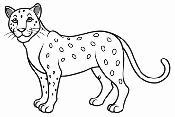 Funny Cheetah Vector Illustration, Cartoon Clipart, and Line Art Design on White Background, Funny cheetah vector illustration, cartoon clipart, and line art design on white background.