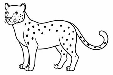 Funny Cheetah Vector Illustration, Cartoon Clipart, and Line Art Design on White Background, Funny cheetah vector illustration, cartoon clipart, and line art design on white background.
