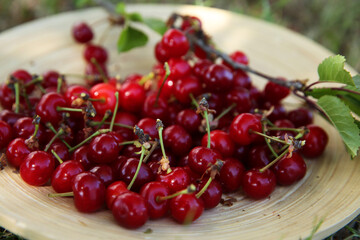 Ripe red cherry berries and tree branch on plate, closeup