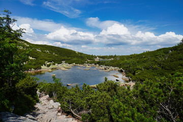 Fototapeta premium Śnieżne Stawki - a complex of eight septic lakes, six of them seasonal, at the bottom of the Śnieżne Kotły glacial basin, in the western part of the Karkonosze range.