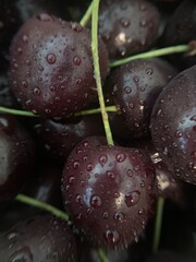 A macro shot of fresh, dark cherries covered in water droplets. The close-up highlights the cherries’ rich color and smooth texture, with stems peeking out. The droplets add a refreshing