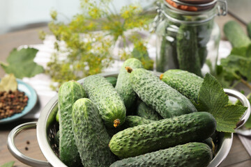 Fresh green cucumbers in colander on table, closeup. Pickling vegetables