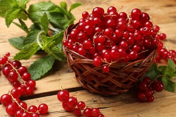 Fresh red currants in basket and mint on wooden table, closeup