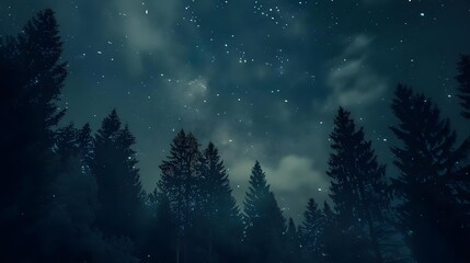 Time-lapse of the night sky above a forest landscape