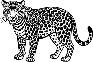 Funny Jaguar Vector Illustration Cartoons, Clipart And Line Art Design on White Background, Funny Jaguar vector illustration in cartoons, clipart, and line art design on a white background