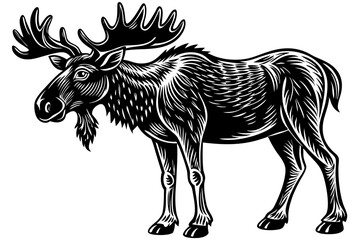 Funny Moose Vector Illustration, Cartoon, Clipart, and Line Art Design on White Background, Funny moose vector illustration, cartoon, clipart, and line art design on a white background