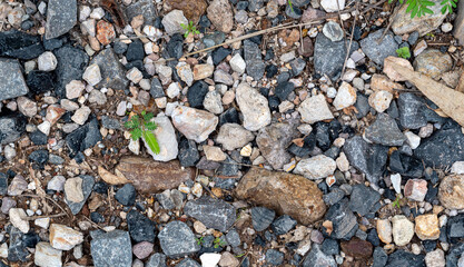 textura piedras, piedras de rio, grava, piedra triturada, suelo, rocas humedas