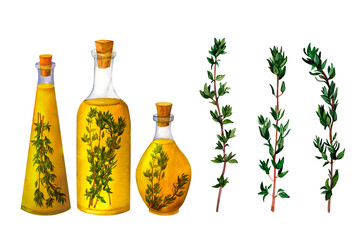 A bottle of fragrant olive oil with spices and thyme, watercolor hand painted, isolated on white background. It can be used for prints on textile and paper, for clothes, for plates and dishes design