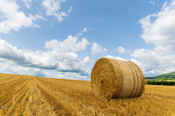 Harvested grain in a field in the countryside, bales of straw and clouds in the sky