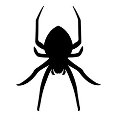 Silhouette of black spider.Vector spider icon.Large scary spider highlighted on white background.