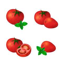 Red tomato and basil, watercolor illustration set, isolated on white background. For prints on textile and paper, plates and dishes design, decoration for kitchen, restaurant menus, recipes, cookbook