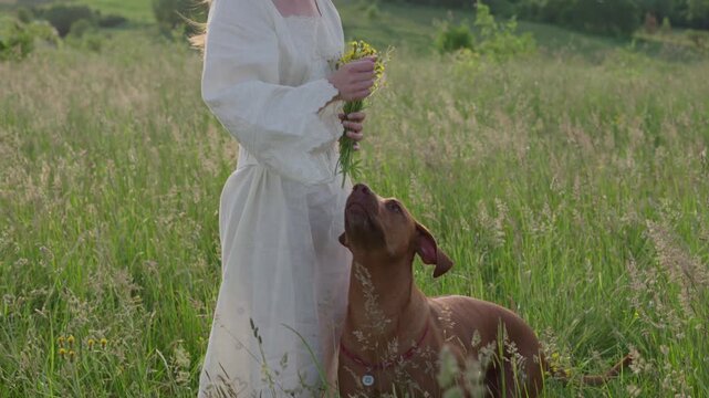 young cheerful woman playing with her dog outdoors in beautiful countryside field. Female and ridgeback dog walking and having fun