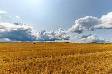 Harvested grain in a field in the countryside, bales of straw and clouds in the sky