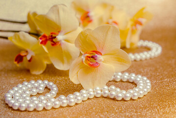 yellow Orchid and pearl necklace on a shiny gold background
