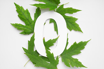 Green leaves with paper number zero on white background