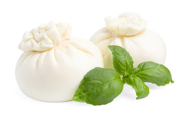 Fresh delicious burrata cheese and basil isolated on white