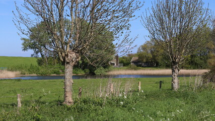 Landschaft in Zeeland